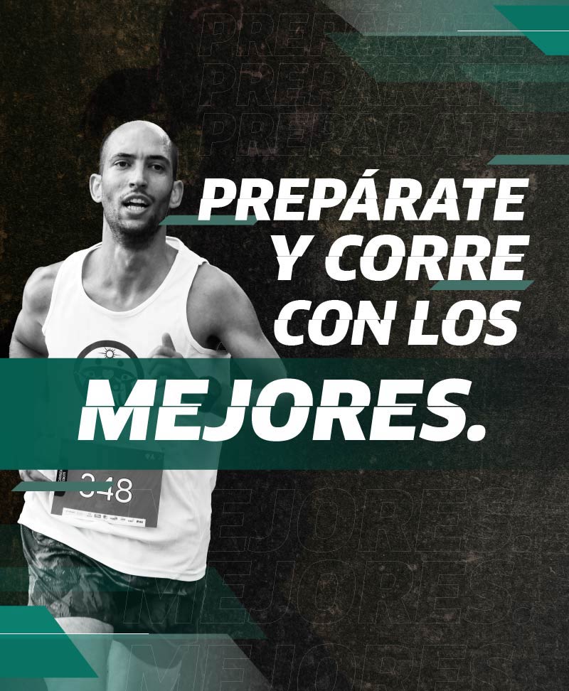 Cotizador