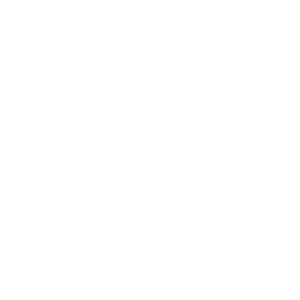 Icono Seguro de viaje