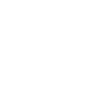 Icono escudo con cruz