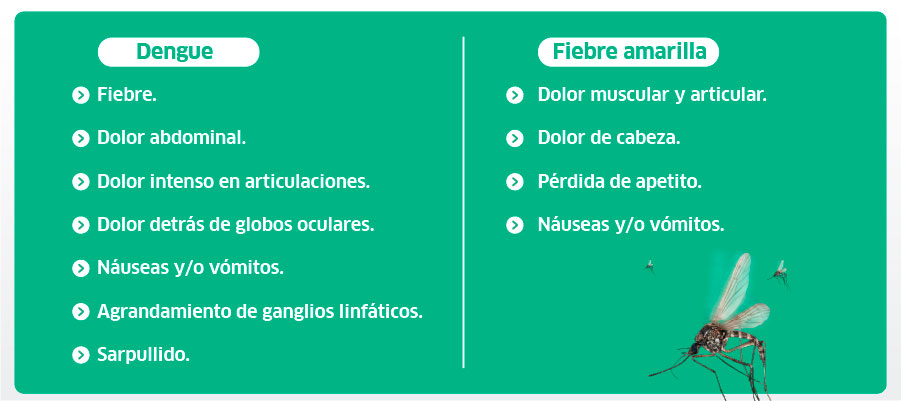 Sarpullido