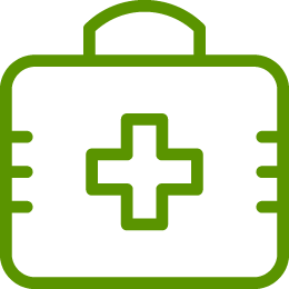 Ico Programas de salud encaminados