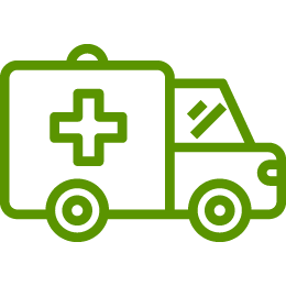 Ambulancia terrestre
